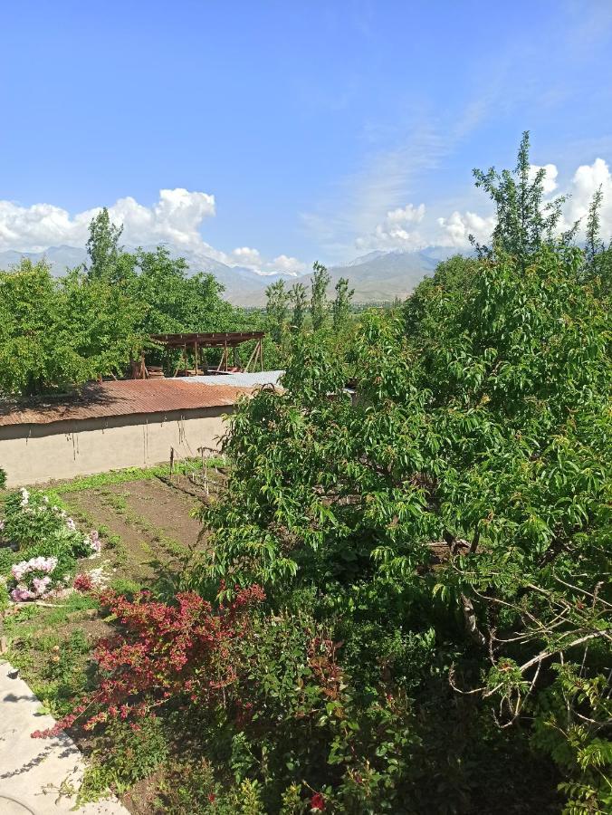 Toktogul Ghesthouse Ξενοδοχείο Εξωτερικό φωτογραφία